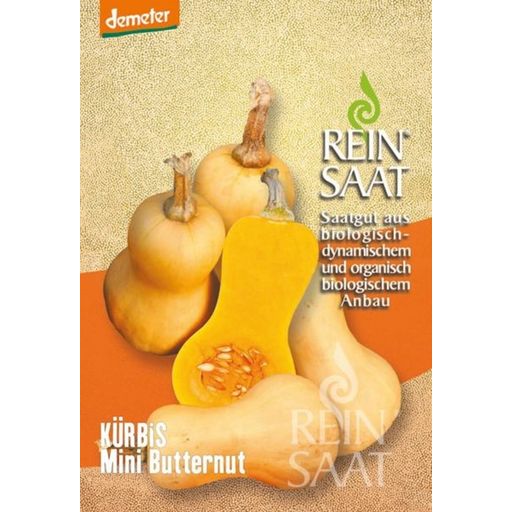 ReinSaat Mini Butternut Squash - 1 Pkg
