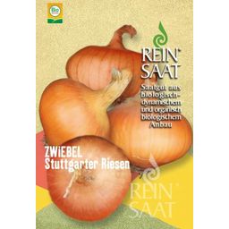 ReinSaat ''Stuttgart Giant'' Onions