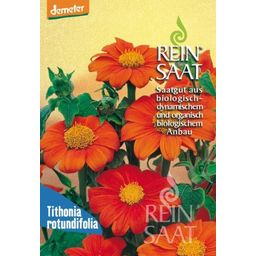 ReinSaat Mexican Sunflowers