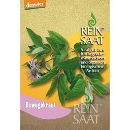 ReinSaat Wilde Bergamotplant - 1 Verpakking
