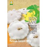 ReinSaat "Patisson Custard White" Gourd