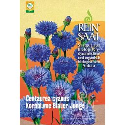 ReinSaat Cornflower 'Blauer Junge'' - 1 Pkg