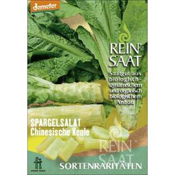 ReinSaat Celtuce "Celery Lettuce"