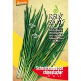 ReinSaat Chinese Chives