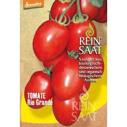 ReinSaat Saus Tomaten 