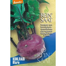 ReinSaat Koolrabi “Blaro” - 1 Verpakking