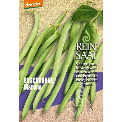 ReinSaat ''Marona'' Bush Beans - 1 Pkg