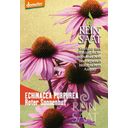 ReinSaat Rode Zonnehoed ''Echinacea Purpurea'' - 1 Verpakking