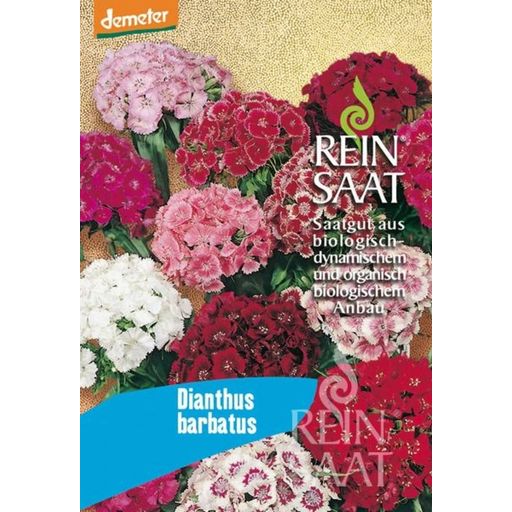 ReinSaat Bartnelke ''Dianthus barbatus'' - 1 Pkg