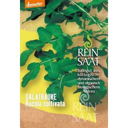 ReinSaat Salatrauke ''Rucola coltivata''