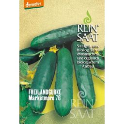 ReinSaat Field Cucumber ''Marketmore'' - 1 Pkg