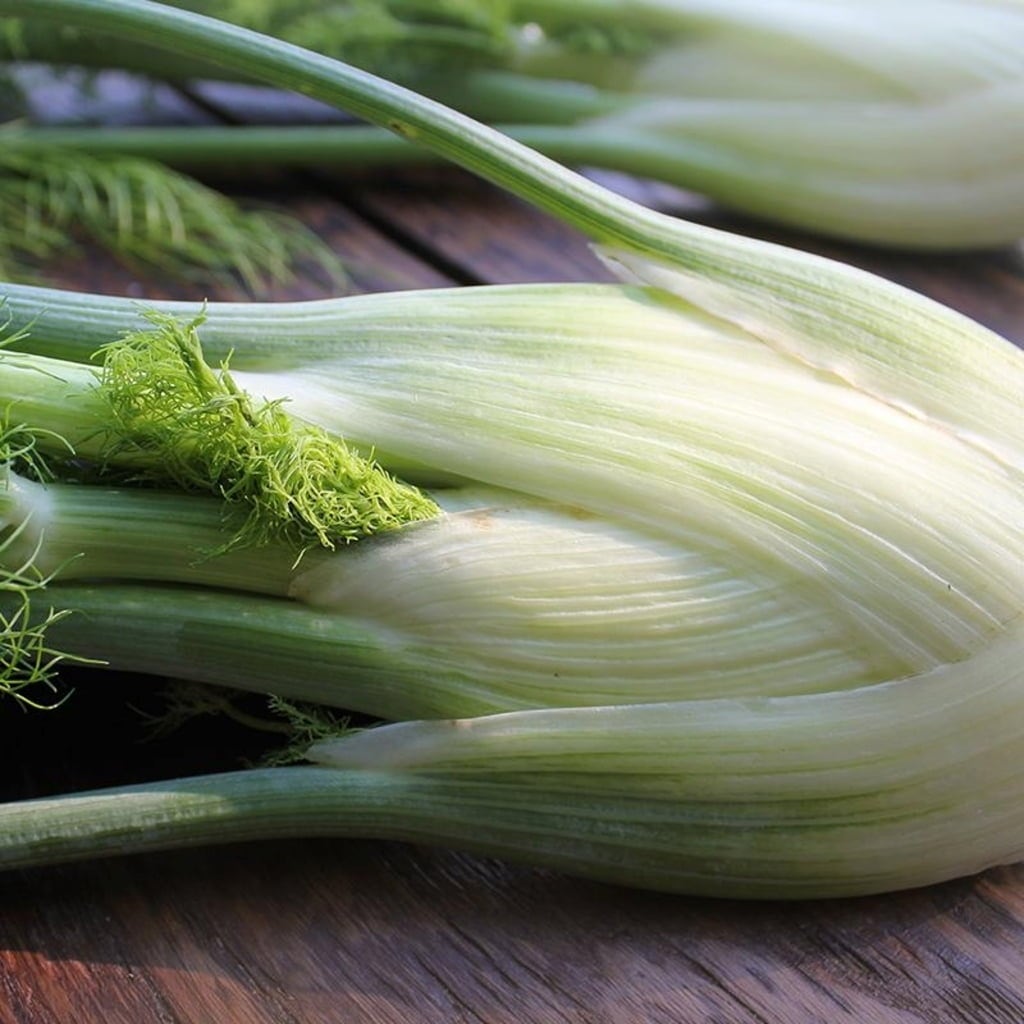 De Bolster Florence Fennel 