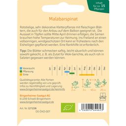 Bingenheimer Saatgut Kletter-Salat