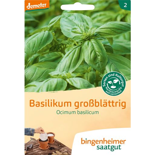 Bingenheimer Saatgut Basilico - A Foglie Larghe