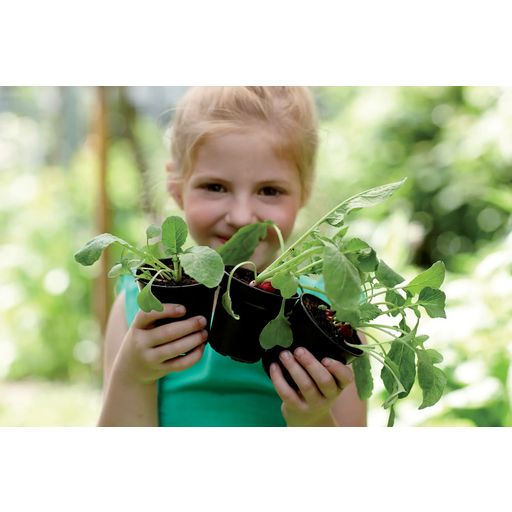 elho green basics Grow Pot Starter Set