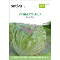 Sativa Bio Radicchio "Variegata Lusia"