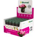 Blumat for Indoor Plants, 25 Pc Package - 25 items