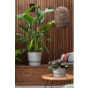 elho greenville Planter Round 30 cm - Living Concrete