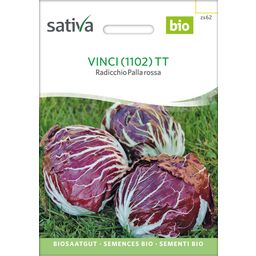 Sativa Radicchio Bio - Vinci
