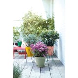 elho loft urban redondo 30