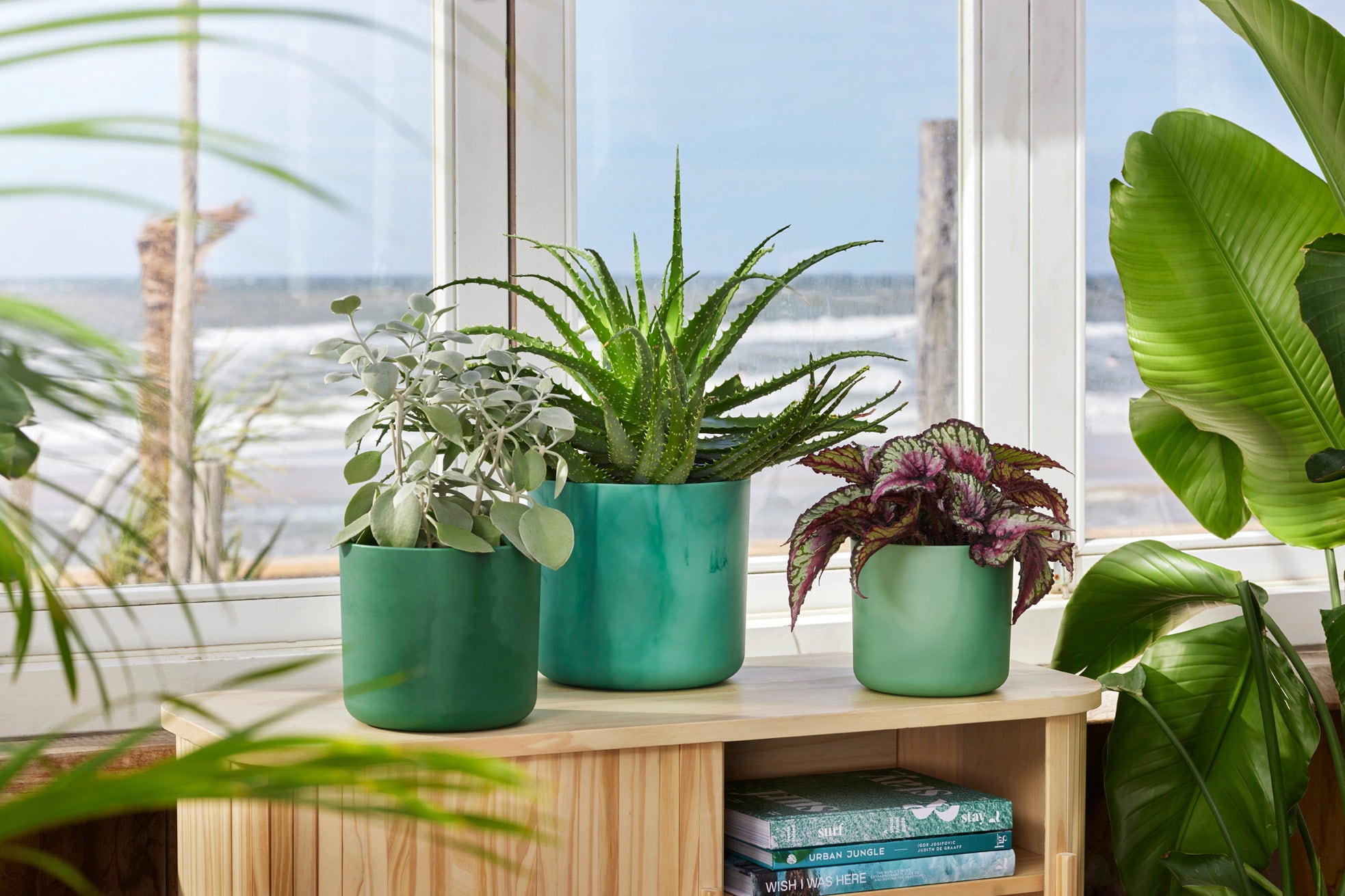 Pot Rond THE OCEAN COLLECTION - Vert Pacifique