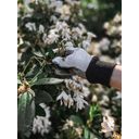 by Benson Basic Gardening Gloves - M