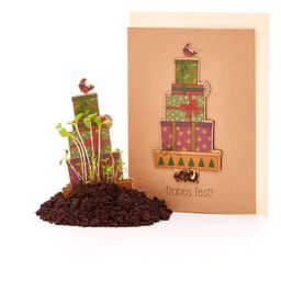 Die Stadtgärtner Grußkarte mit Saatstecker "Frohes Fest"