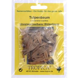 TROPICA Tulpenbaum