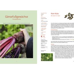 Löwenzahn Verlag Priročnik za semensko vrtnarjenje - 1 k.