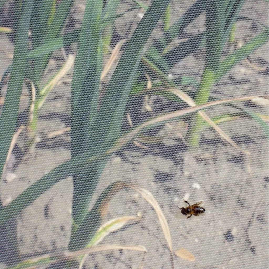 Andermatt Biogarten Mreža za zaščito rastlin-InsectoNet 