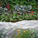 Andermatt Biogarten Sieť na ochranu plodín InsectoNet