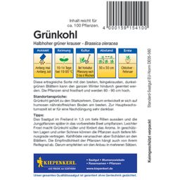 Kiepenkerl Grünkohl - Halbhoher grüner Krauser - 1 Pkg