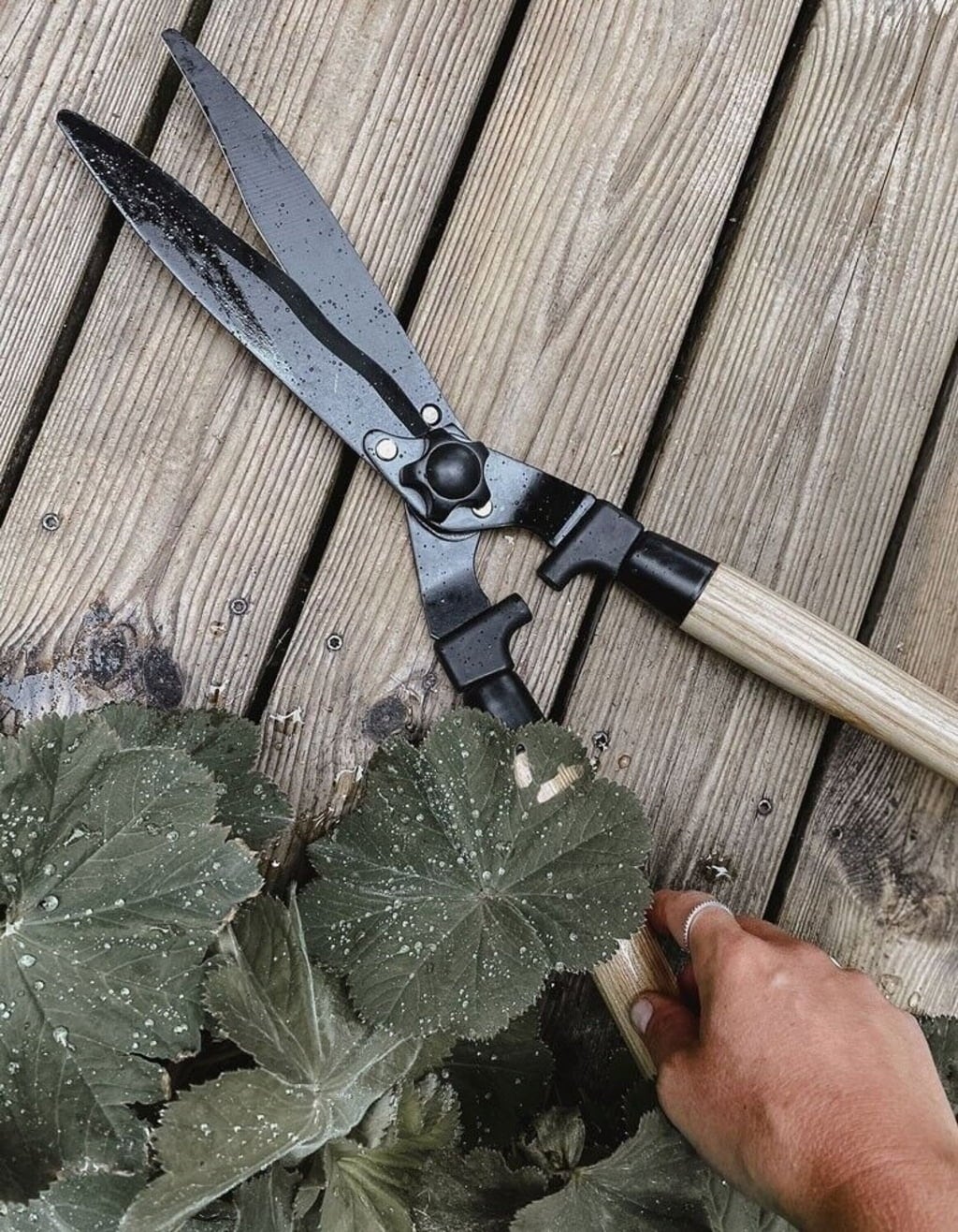 by Benson Häckklippare Deluxe - 1 st.