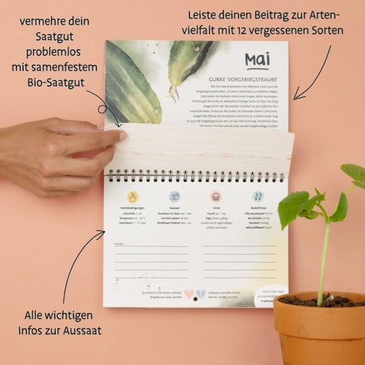 Primoza Kalender "Vergessene Sorten" 2024 - Bloomling Deutschland