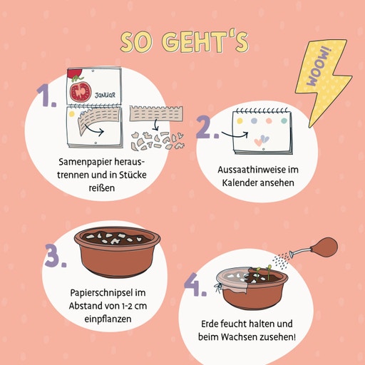 Primoza Kalender "Vergessene Sorten" 2024 - Bloomling Deutschland