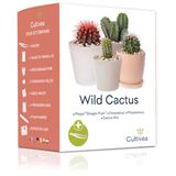 Cultivea Zestaw do uprawy Mini-Kit "Wild Cactus"