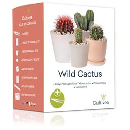Cultivea Mini-Kit "Wild Cactus"