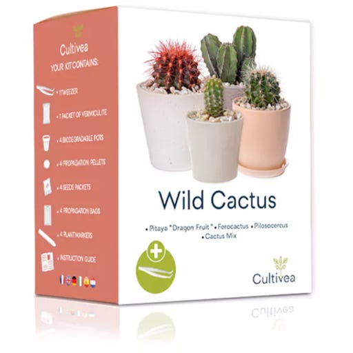 Cultivea Mini Kit Wild Cactus, 1 Set