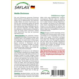 Saflax Witte Kerstroos - 1 Verpakking