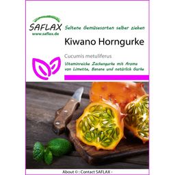 Saflax Kiwano Horngurke - 1 Pkg