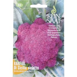 ReinSaat Coliflor - Violeta Siciliana - 1 paq.