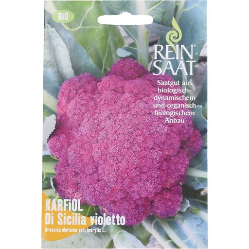 ReinSaat Cavolfiore - Di Sicilia Violetto - 1 conf.
