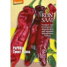 ReinSaat Peperone - Sweet Palena - 1 conf.