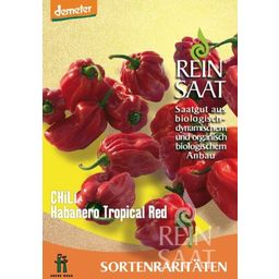 ReinSaat Chili "Habanero Tropical Red"