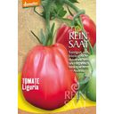 ReinSaat Tomaten 