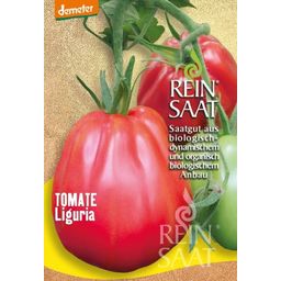ReinSaat Tomato, "Liguria"