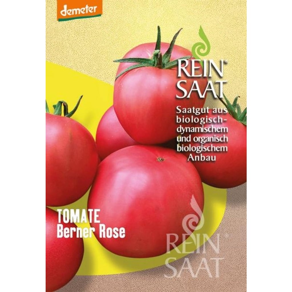 ReinSaat Beefsteak Tomato, "Bernese Rose", 1 Package Bloomling