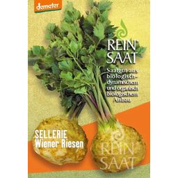ReinSaat Sedano - Wiener Riesen - 1 conf.