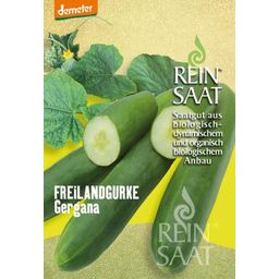 ReinSaat Salatgurke "Gergana"