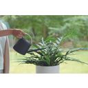 elho b.for soft watering can 1,7 L - bianco - Antracite